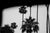 Sweet California