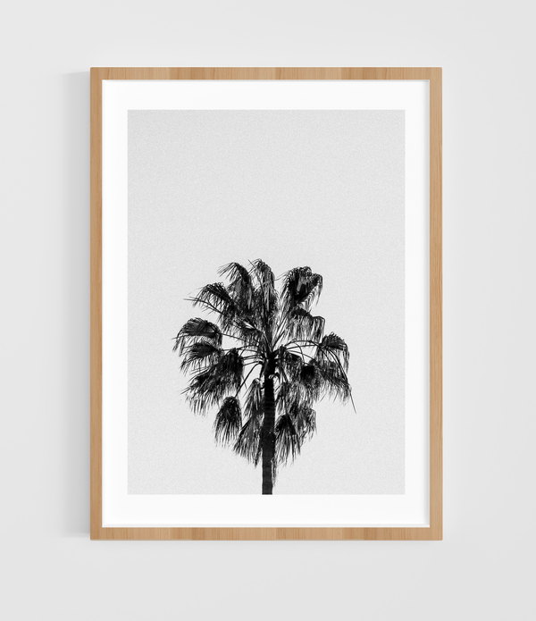 Palm Tree 1 - Bondi Beach <br>Custom 82x65cm <br> Natural Frame + Artglass