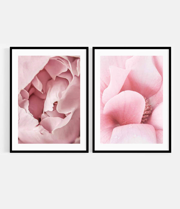 The Peony + Sweet Magnolia