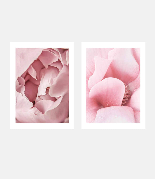 The Peony + Sweet Magnolia