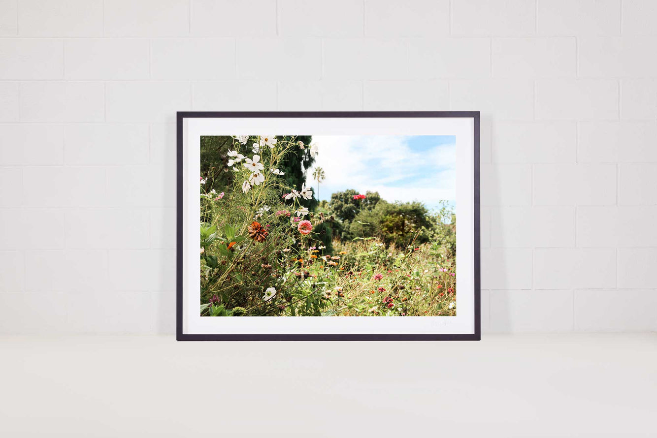 Flower Polaroid Frame  Framed Flower Boutique