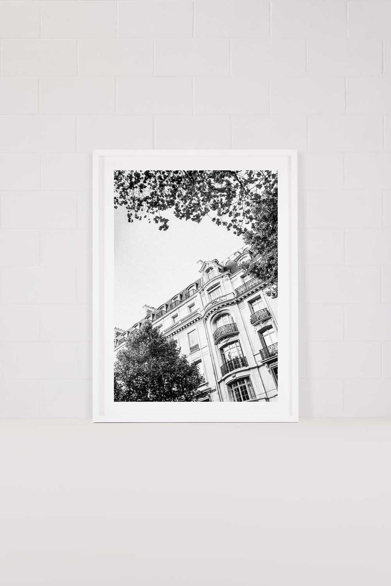 Saint Germain Vignette
