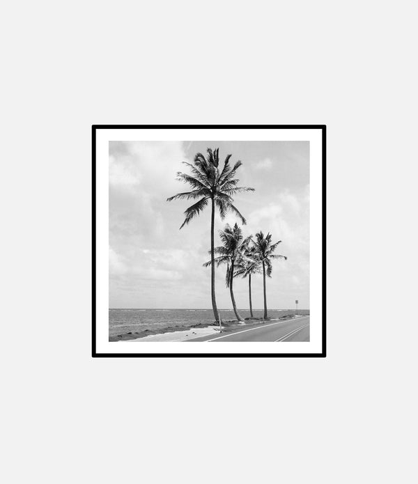 Oahu Road Trip