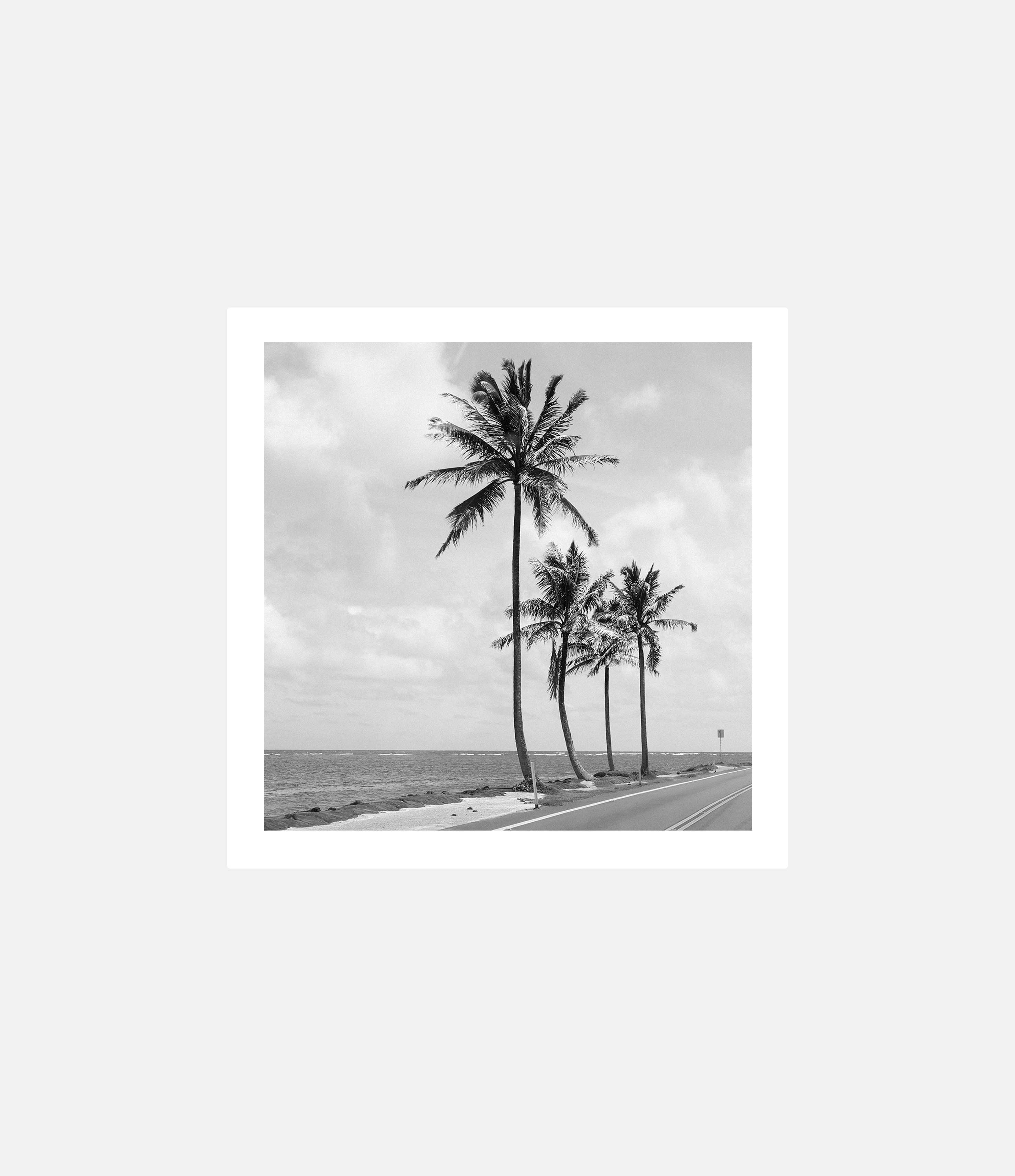 Oahu Road Trip Hawaii Fine Art Photographic Prints By Poppie Pack