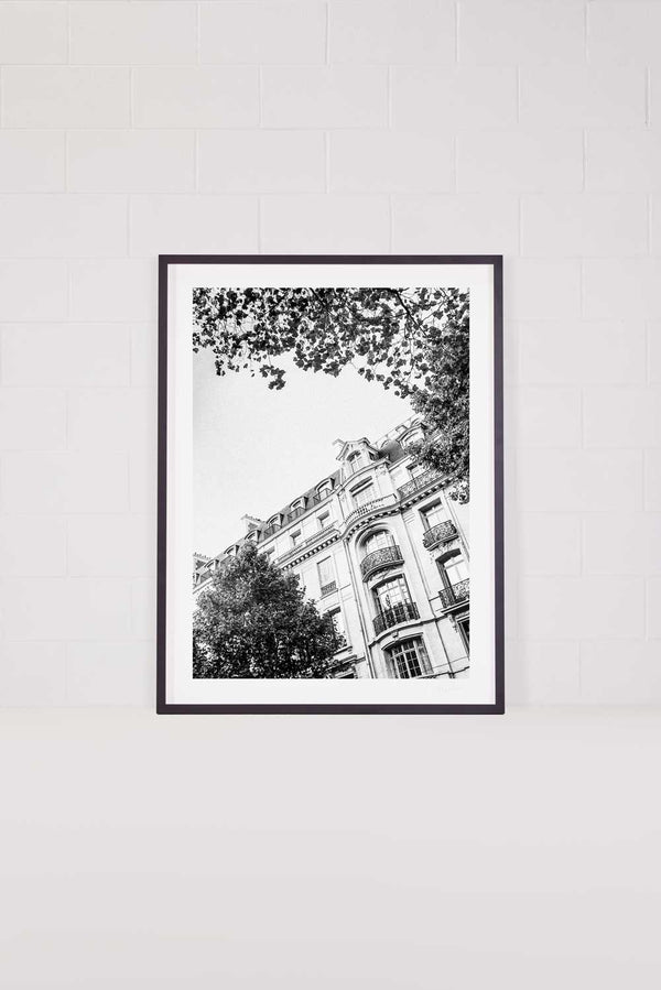 Saint Germain Vignette