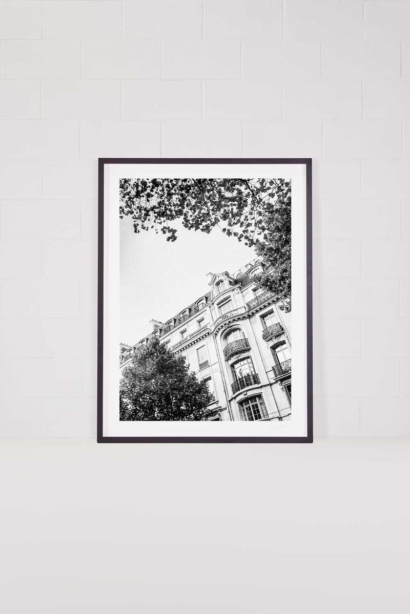 Saint Germain Vignette