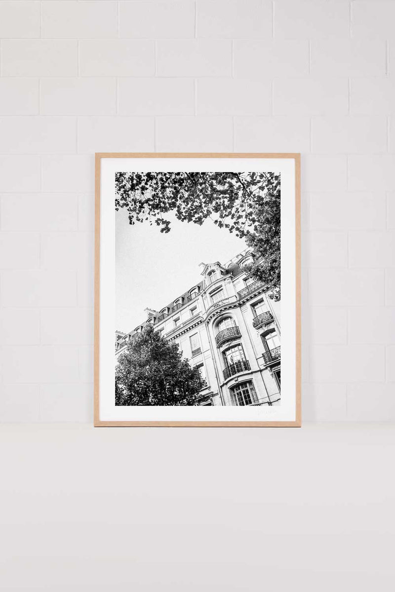 Saint Germain Vignette
