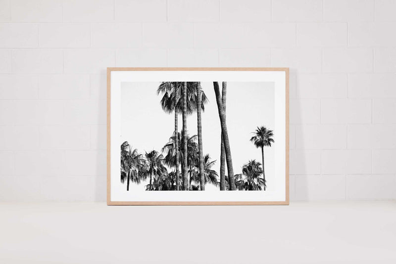90210 Palms Landscape