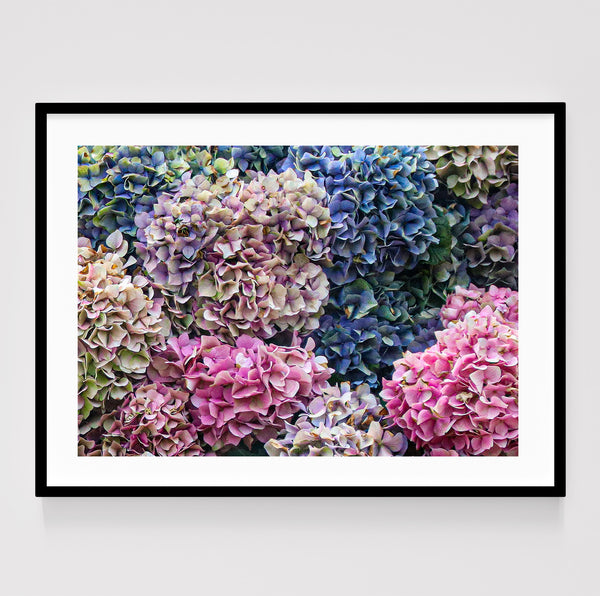 New Year Bloom Landscape <br>Custom 96 x 71cm <br> Black Smooth Frame