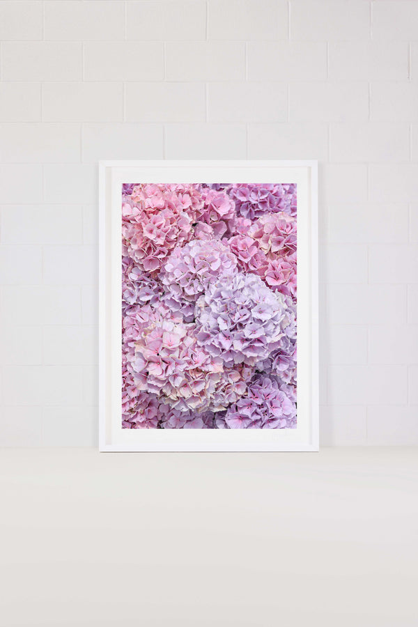Sherbert Frills