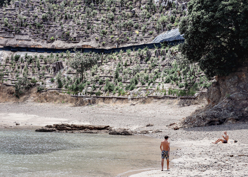 Bay Bathers in Color Landscape