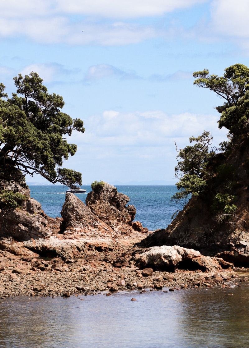 Enclosure Cove