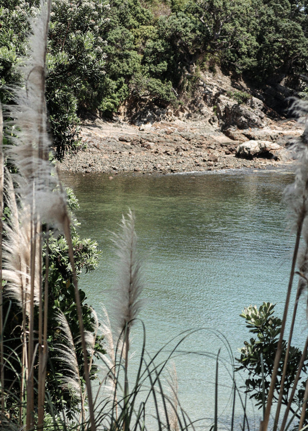 Greenstone Shallows
