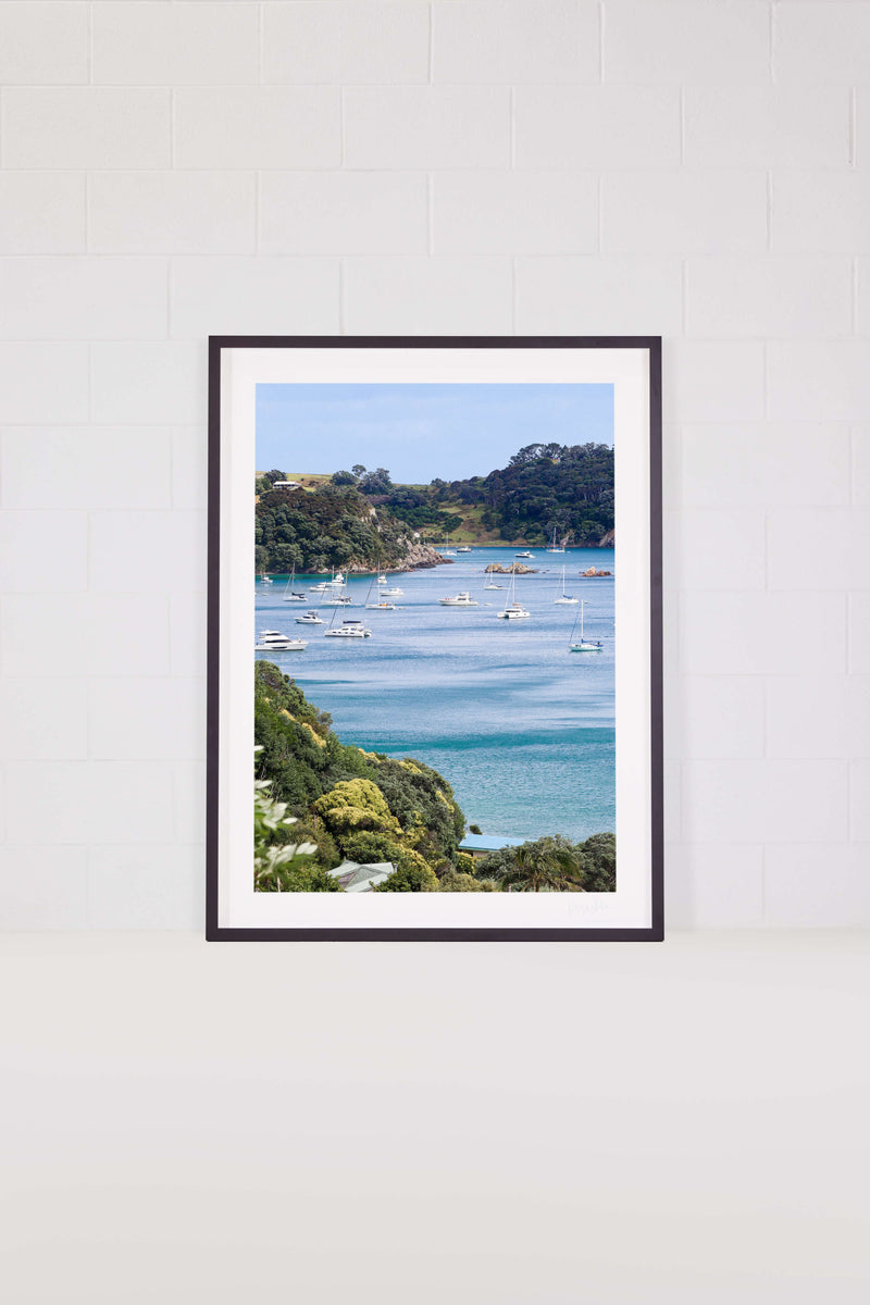 Hauraki Healer