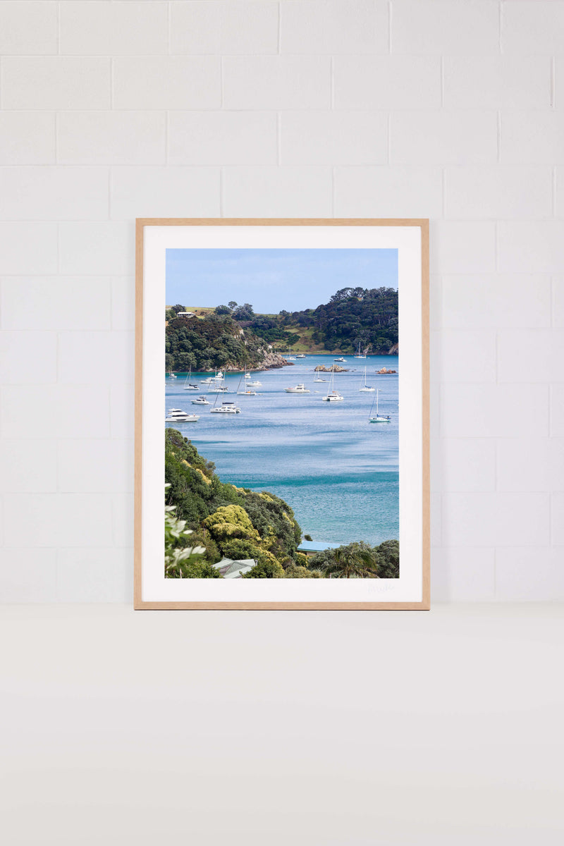 Hauraki Healer