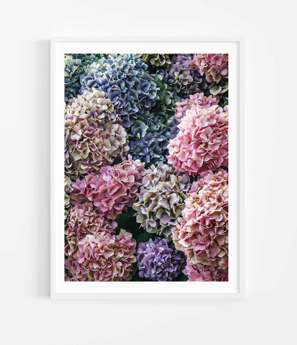 New Year Bloom Portrait <br>Medium 101 x 76cm <br> White Smooth Frame