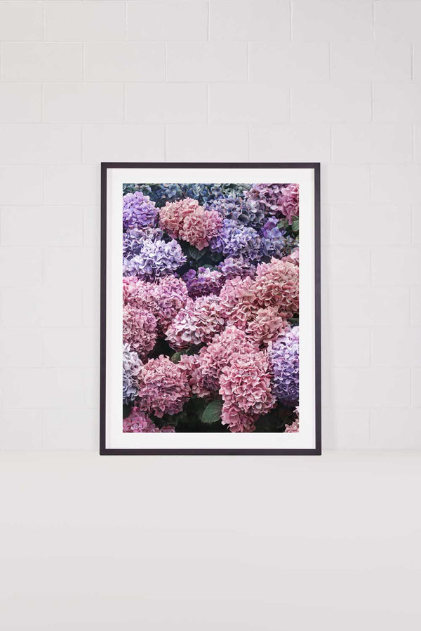Blushing Blossoms