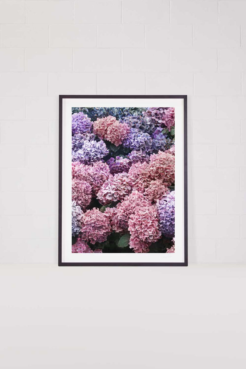 Blushing Blossoms