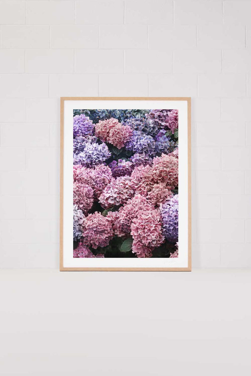 Blushing Blossoms