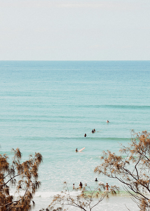 Surfers Among The Flame Trees