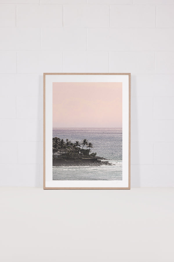 Palm Tree Point