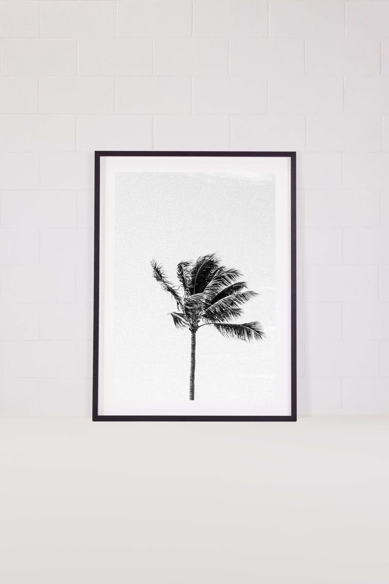 Palm Tree 3 – Hawaii