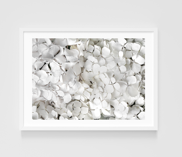 White Hydrangeas | 1500x2100mm | White Grain Frame